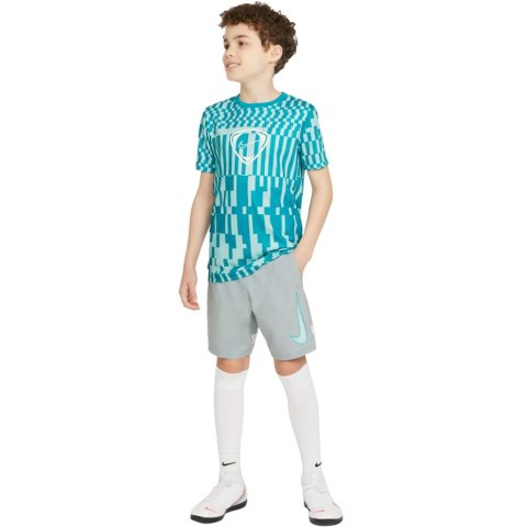 Spodenki dla dzieci Nike NK Df Academy Shrt Wp Gx szare CV1469 019 Spodenki dla dzieci Nike NK Df Academy Shrt Wp Gx szare CV1469 019