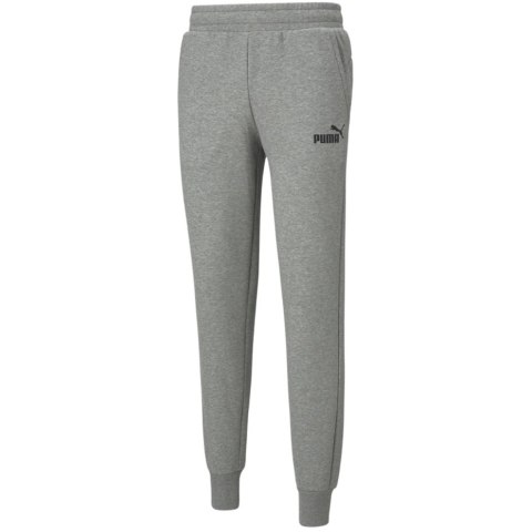 Spodnie męskie Puma ESS Logo Pants FL jasnoszare 586714 03 Spodnie męskie Puma ESS Logo Pants FL jasnoszare 586714 03