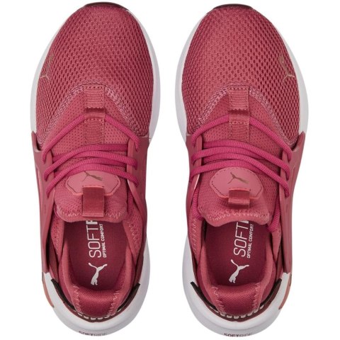 Buty damskie Puma Softride Enzo Evo brudny róż 377048 05 Buty damskie Puma Softride Enzo Evo brudny róż 377048 05