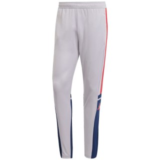 Spodnie męskie adidas Squadra 25 Training szare JP3372