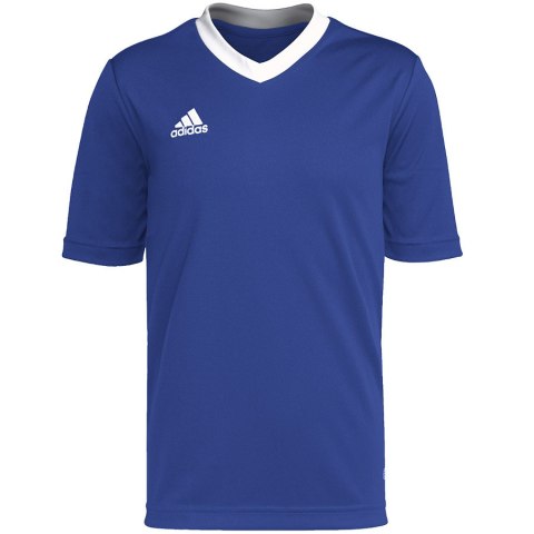 Koszulka adidas ENTRADA 22 JSY Y HG3948 Koszulka adidas ENTRADA 22 JSY Y HG3948