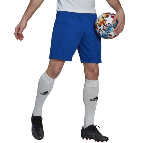Spodenki adidas ENTRADA 22 Short HG6294 Spodenki adidas ENTRADA 22 Short HG6294