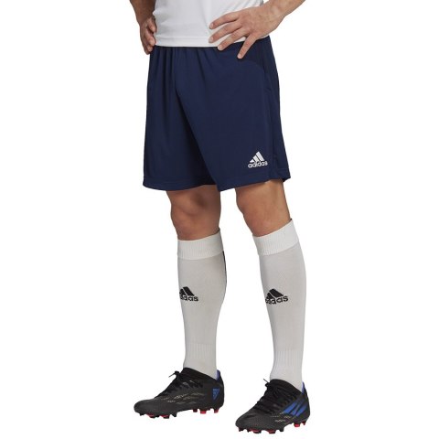 Spodenki adidas ENTRADA 22 Training Short H57488 Spodenki adidas ENTRADA 22 Training Short H57488