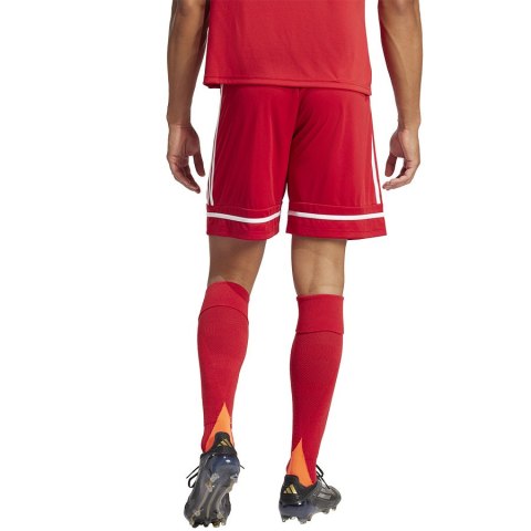 Spodenki adidas SQUADRA 25 Short JN5466 Spodenki adidas SQUADRA 25 Short JN5466