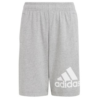 Spodenki adidas Essentials Big Logo Cotton Shorts HY4720