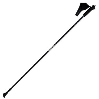 Kije Nordic Walking Viking