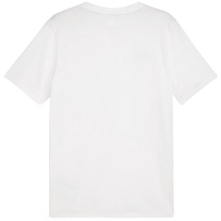 Koszulka męska Puma Team Goal Casuals Tee biała 658615 04