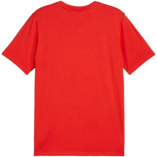 Koszulka męska Puma Team Goal Casuals Tee czerwona 658615 01