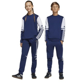Spodnie adidas SQUADRA 25 Training Pant Jr JD4809