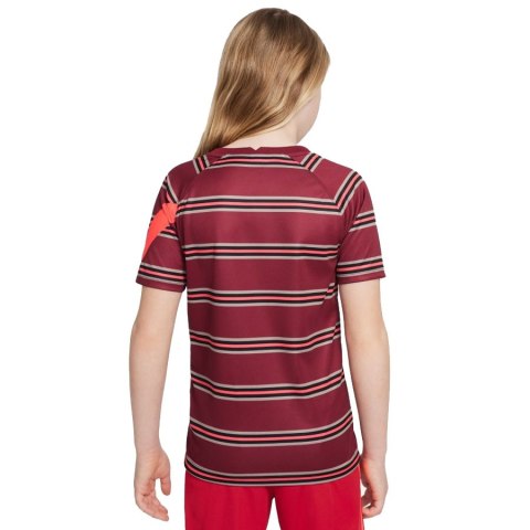 Koszulka Nike Liverpool FC DB2923 614