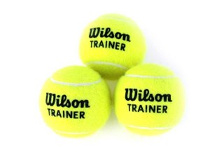 Piłka tenisowa Wilson Trainerball / Triniti Club