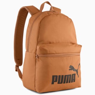 Pleack Puma Phase 091164-18